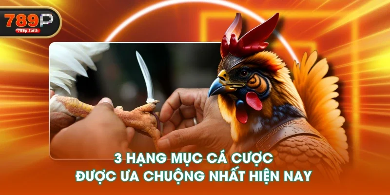 3 hạng mục cá cược được ưa chuộng nhất hiện nay