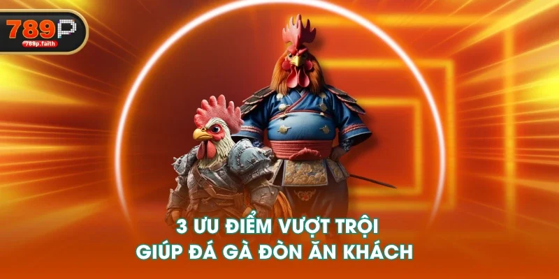 3 ưu điểm vượt trội giúp đá gà đòn ăn khách 