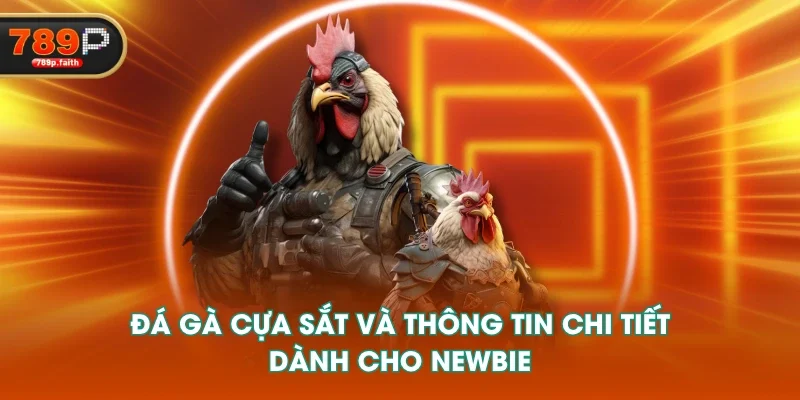 Đá gà cựa sắt và thông tin chi tiết dành cho newbie