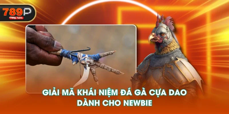 Giải mã khái niệm đá gà cựa dao dành cho newbie