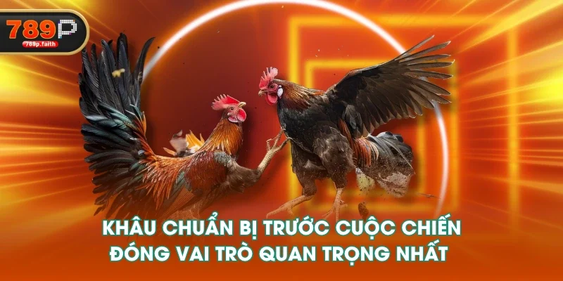 Khâu chuẩn bị trước cuộc chiến đóng vai trò quan trọng nhất 