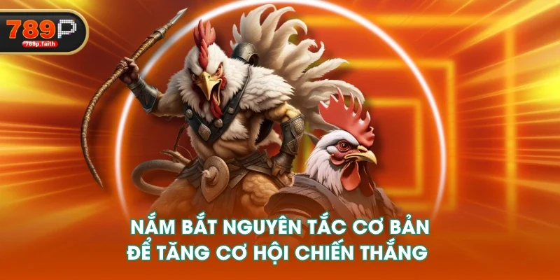 Nắm bắt nguyên tắc cơ bản để tăng cơ hội chiến thắng 