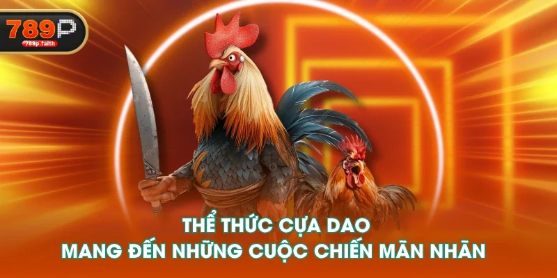 Thể thức cựa dao mang đến những cuộc chiến mãn nhãn 