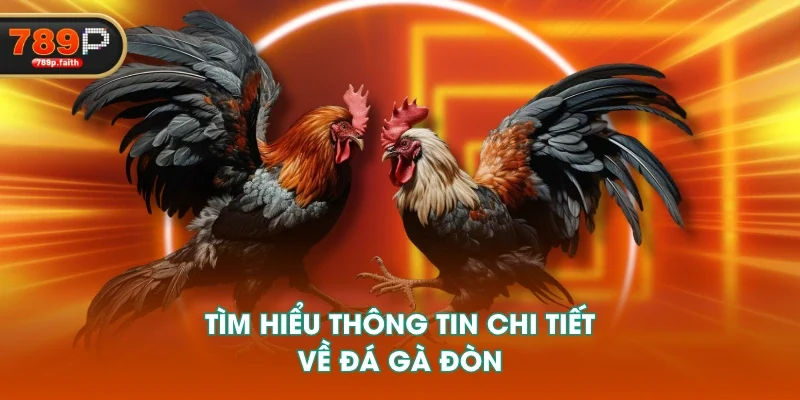 Tìm hiểu thông tin chi tiết về đá gà đòn
