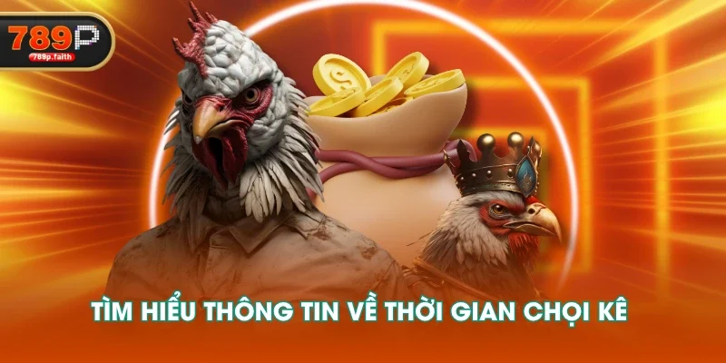 Tìm hiểu thông tin về thời gian chọi kê 