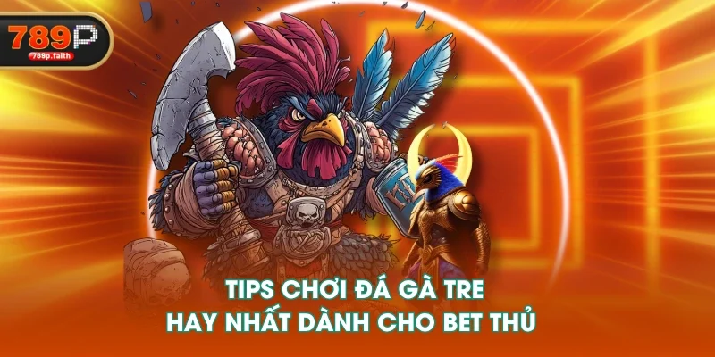 Tips chơi đá gà tre hay nhất dành cho bet thủ 